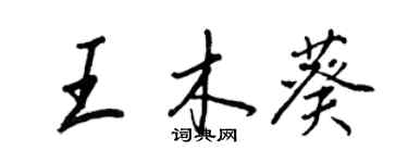 王正良王木葵行書個性簽名怎么寫