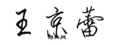 駱恆光王京蕾行書個性簽名怎么寫