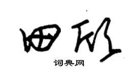 朱錫榮田欣草書個性簽名怎么寫