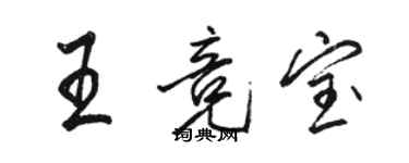 駱恆光王競寶行書個性簽名怎么寫