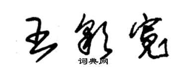 朱錫榮王彩寬草書個性簽名怎么寫