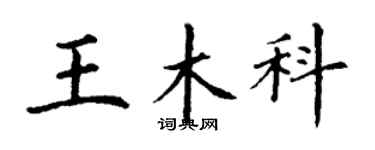 丁謙王木科楷書個性簽名怎么寫