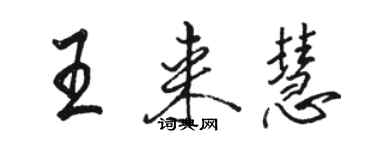 駱恆光王來慧行書個性簽名怎么寫