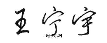 駱恆光王寧宇行書個性簽名怎么寫