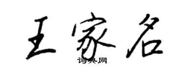 王正良王家名行書個性簽名怎么寫