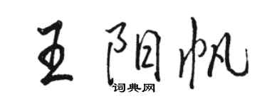 駱恆光王陽帆行書個性簽名怎么寫