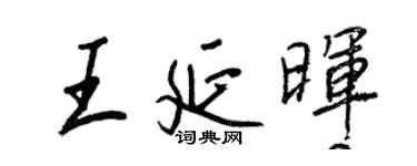 王正良王延暉行書個性簽名怎么寫
