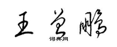 梁錦英王曾鵬草書個性簽名怎么寫