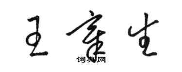 駱恆光王章生草書個性簽名怎么寫