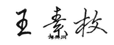 駱恆光王素枚行書個性簽名怎么寫