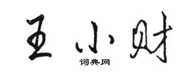 駱恆光王小財行書個性簽名怎么寫