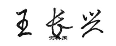 駱恆光王長興行書個性簽名怎么寫