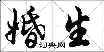 胡問遂婚生行書怎么寫