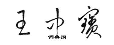 駱恆光王中寶草書個性簽名怎么寫