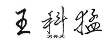 駱恆光王科猛行書個性簽名怎么寫