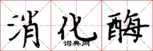 周炳元消化酶楷書怎么寫
