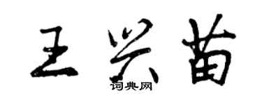 曾慶福王興苗行書個性簽名怎么寫