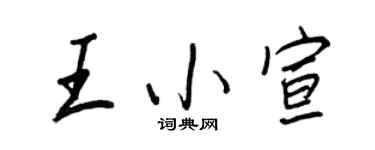 王正良王小宣行書個性簽名怎么寫