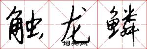 觸龍鱗怎么寫好看