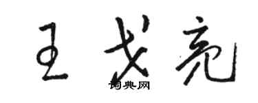 駱恆光王戈亮草書個性簽名怎么寫