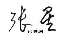 駱恆光張星草書個性簽名怎么寫