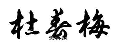 胡問遂杜春梅行書個性簽名怎么寫