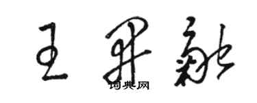 駱恆光王開融草書個性簽名怎么寫