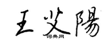 王正良王艾陽行書個性簽名怎么寫