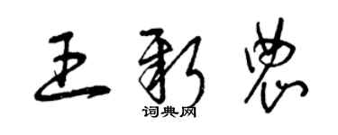 曾慶福王新農草書個性簽名怎么寫