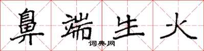 袁強鼻端生火楷書怎么寫