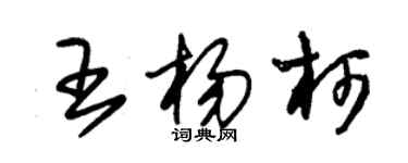 朱錫榮王楊柯草書個性簽名怎么寫