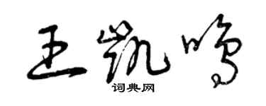 曾慶福王凱鳴草書個性簽名怎么寫
