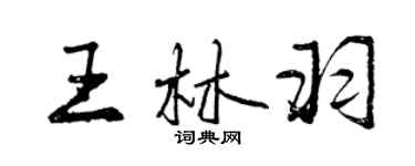 曾慶福王林羽行書個性簽名怎么寫