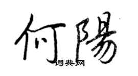 王正良何陽行書個性簽名怎么寫
