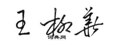 駱恆光王柳華草書個性簽名怎么寫