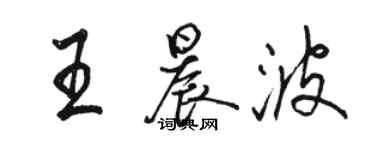 駱恆光王晨波行書個性簽名怎么寫