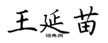 丁謙王延苗楷書個性簽名怎么寫
