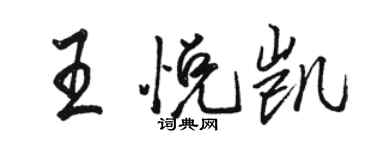 駱恆光王悅凱行書個性簽名怎么寫