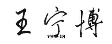 駱恆光王寧博行書個性簽名怎么寫