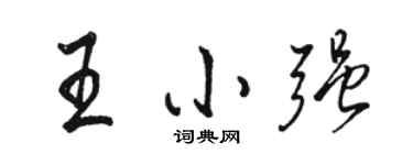 駱恆光王小強行書個性簽名怎么寫