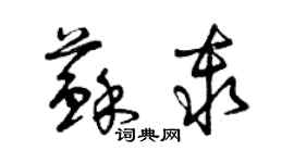 曾慶福蘇秦草書個性簽名怎么寫