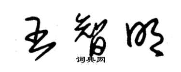 朱錫榮王智明草書個性簽名怎么寫