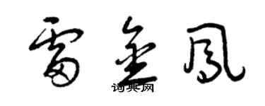 曾慶福雷金鳳草書個性簽名怎么寫