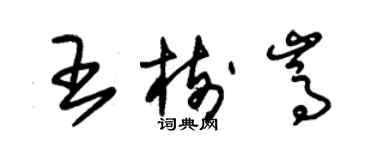 朱錫榮王樹嵩草書個性簽名怎么寫