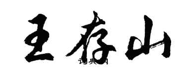 胡問遂王存山行書個性簽名怎么寫