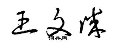 曾慶福王文誠草書個性簽名怎么寫