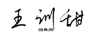 梁錦英王訓甜草書個性簽名怎么寫