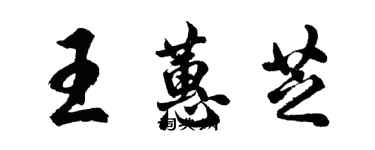 胡問遂王蕙芝行書個性簽名怎么寫