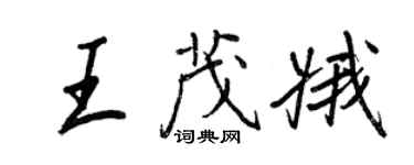 王正良王茂娥行書個性簽名怎么寫