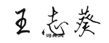 駱恆光王志葵行書個性簽名怎么寫